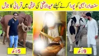 Eid ul Adha 2025 in Pakistan  Expensive Bull 2025  Trend Talk