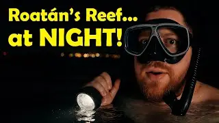 I Tried Night Snorkeling in Roatan (And You Should Too)