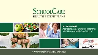 IRC 6055 6056   Applicable Large Employer Reporting