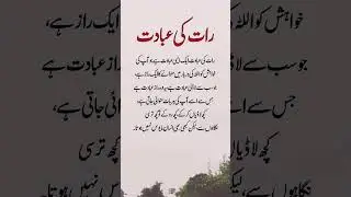 Raat ki Ibadat📿💯❤️😊 #subhanallahforeverything #foryou #islamicholybook #youtubeshorts #quotes