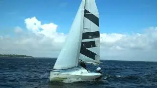 Varianta 18 Vilma - HD