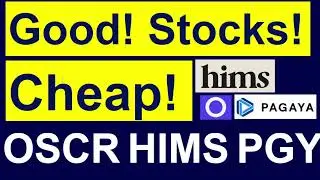 Good Stocks Cheap! Are These Winners? OSCR & PGY Post Q4 + HIMS Crash Resumes... (Now Overdone?)