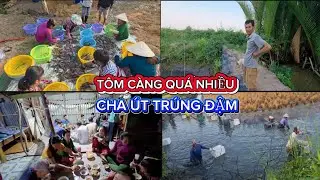 [VNP11] CHA ÚT LẦN NÀY TRÚNG MÁNH, NHIỀU CÔ CHÚ ANH CHỊ Ở XÓM LẠI PHỤ RẤT ĐÔNG #cooking 