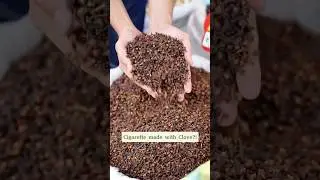 Clove Cigarettes: A Fragrant Tradition or a Cultural Taboo? #clove