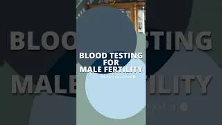 Blood Testing for Male Fertility #fertility #malefertility
