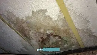 ServiceMaster Restoration Services - Water Damage Restoration Lisle Teams Handle Heavy Flooding