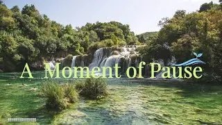 A Moment of Pause 🌿 | Soft Morning Calm ☀️ | Gentle Healing Music