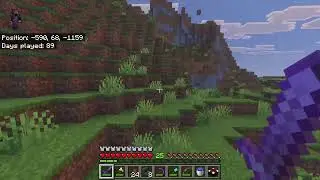 Building a wall | Medivel Minecraft episode 6 (No Audio Sorry)