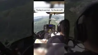 Bird strike | #birdstrike  #aviation #plane #jet #military #fighterjet