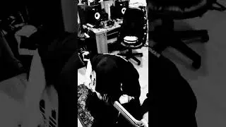Avisticum Bass Riffing Drums Punk Hardcore Thrash Grindcore Death Crust Metal