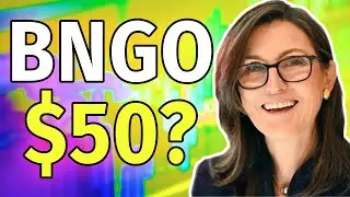 I BOUGHT $1,000 MORE BNGO &ndash; Best Genomics Stock