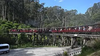 Puffing Billy | 12A crossing over the Monbulk Trestle Bridge