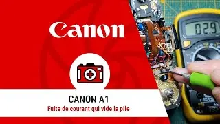 Canon A1 - Fuite de courant qui vide la pile