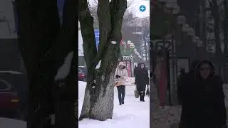 Эпидемия опасной болезни / Новости регионов Беларуси #беларусь #новости