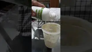 Powder Ashitaba Extra Chalcone