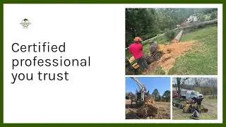 Safe & Professional Tree Removal with Boom Tree Services
