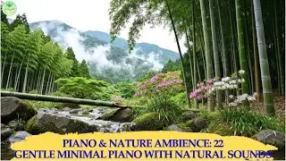 Piano & Nature Ambience 22: Gentle Minimal Piano with Natural Sounds