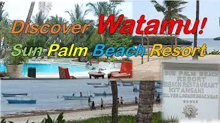 Watamu Paradise! Sun Palm Beach Resort Walkaround & Beach View #kenya #africa #resort #beach #watamu