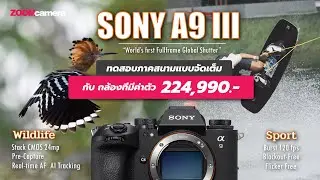 รีวิว Sony A9III | กล้องแห่งอนาคต กับ Global Shutter + รัว 120 fps สมฐานะค่าตัว 2 แสน++