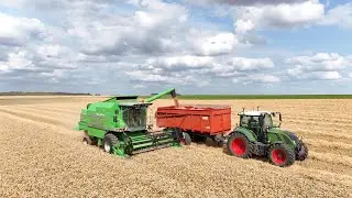 Moisson 2025 🤠 Deutz Fahr & Fendt