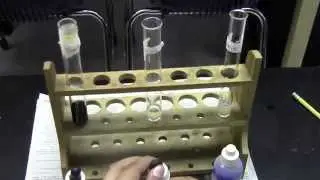 Detecting Biomolecules samples before adding the Reagent.