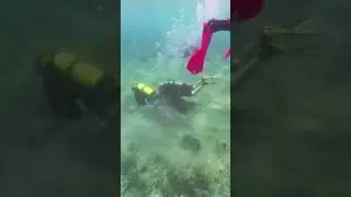 &ldquo;Keep your dive flag with you at all times&rdquo; and you take that literally&hellip; #dive #diving #scuba #flag