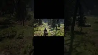 馬乗りをしていたら、脱走した囚人が居たので遣って置きましたｂ 　#rdr2mod #rdr2