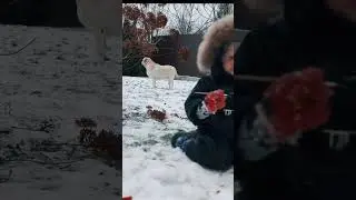 Красим снег ❄️