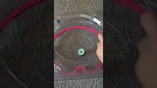 Pegasus Blast Wheel 9-60 Free Ball VS Aero Pegasus 1-60 Level #beyblade #beybladetoys