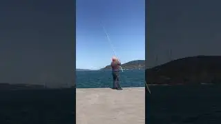 #surfcasting #istanbul #fishing #istavritavı #bosfor #balık #balıkavı #sardalya #fish