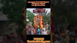 #தைமுதல்வெள்ளி #மாட்டுப்பொங்கல் #பிரதோஷம் #தைமாதம் #வெள்ளிக்கிழமை2026#தினசரிகாலண்டர்2026 #shorts