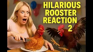 Hilarious Rooster Reaction to Hen Cake at Birthday Party!2