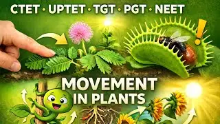 Movement in Plants | Tropic & Nastic Movements Explained with Examples |