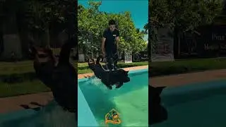 Making off 🐾🐾Muitas novidades para 2026 🐶..Aguardem 😉