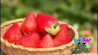 DONDON白石（イチゴ編）