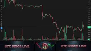 LIVE Bitcoin Price 🔴 BTC Live Chart | Crypto Market Today