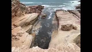 Point Labbot, Talia Caves, Streaky and Smokey Bay, SA - check out the wild Sea Lions!