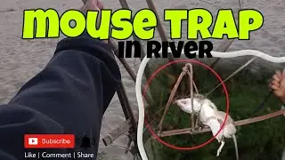 mouse trap in river 👍🏻😝🐭||9/2025/19@life style vlogs😊🥳||son of sisupani #mouse #trapbeat #trapmusic