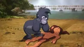 Scene For 