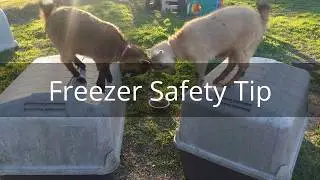 Freezer safety tip