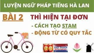 Học ngữ pháp tiếng Hà Lan _ Bài 2: Cách tạo STAM từ Động từ nguyên mẫu