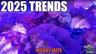 2025 Aquarium TRENDS - Predictions for What's In & Out For Reef Tanks - Hilary Jaffe