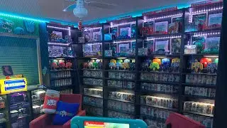 Освещение игровой комнаты: что я использовал для своего дисплея N64