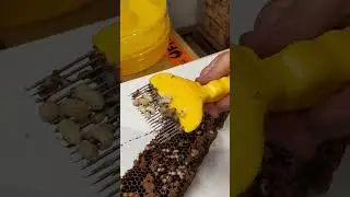 Drone uncapping for varroa detection. 🐝🐝🐝  #beekeeper #beekeeping #savethebees #honeybee #drones