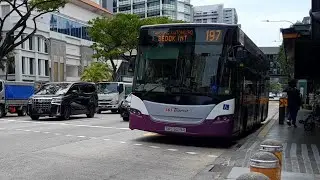 (Disney's Beauty And The Beast The Musical Full Body Advertisement) SBS5019R(UPDEP) On Service 197