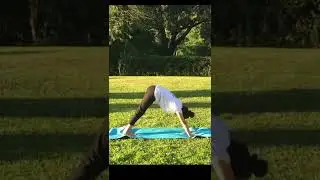 Happy International Yoga Day!