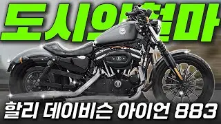 [모대리 출연] 도시의 철마, #할리데이비슨 #아이언883