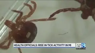 State warns of uptick in Lyme disease as ticks spread
