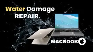 Water Damage MacBook Repair || Jalandhar Laptop Repair Shop || Water Damage 