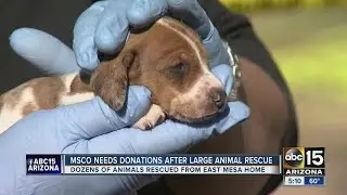 MCSO needs donations after large animal rescue
